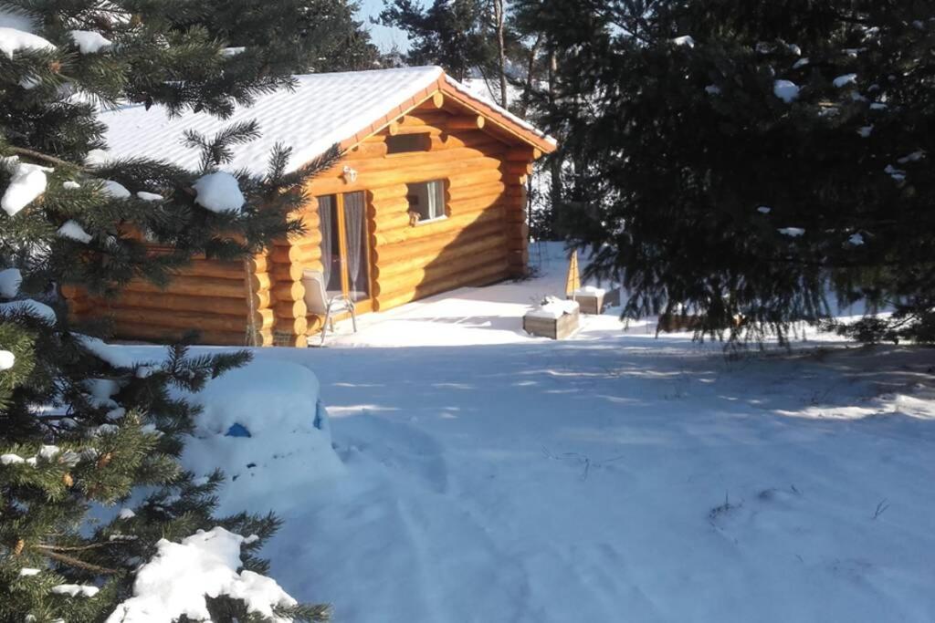 Pialous:Chalet En Rondins Avec Espace Detente La Chapelle-d'Aurec Exterior foto